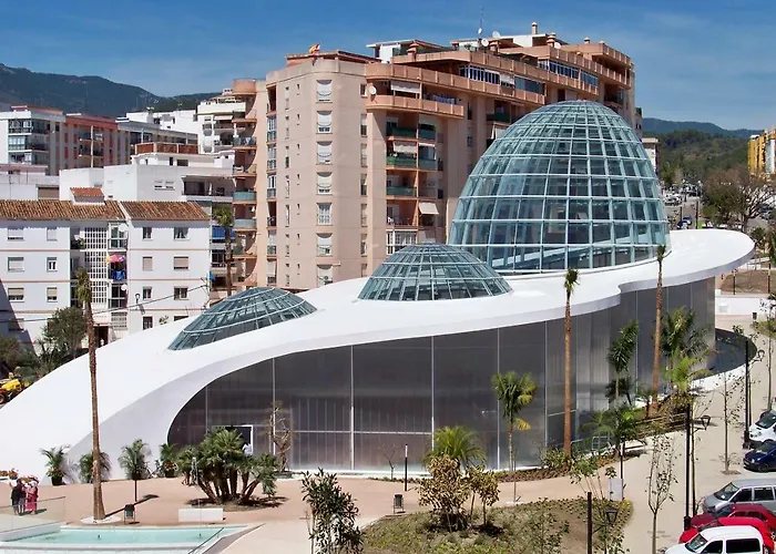 Comfort * 에스테포나